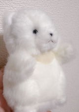 みさき review photo