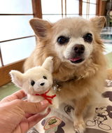 くー＆れいく review photo