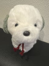 匿名 review photo
