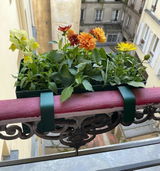 Achille D. review photo