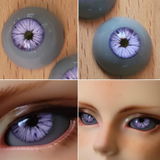 Zed review photo