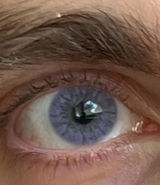 S review photo