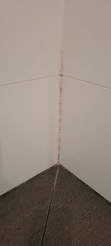 Brad Shipway review photo
