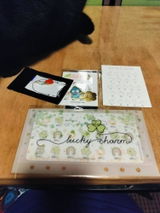 Marianne Apple review photo