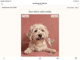 Ron Womack review photo
