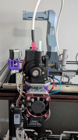 M.P. review photo