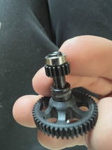 Max Lozovoi review photo