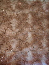 Catherin review photo