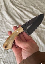 Jeancarlo Fiorin Nicola review photo