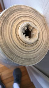 jenjen review photo