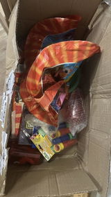Larissa C.A. review photo
