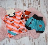 Steffi B. review photo