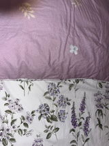 Cassie Shields review photo