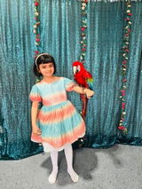 Niharika review photo