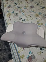 Felipe review photo