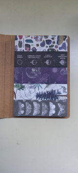 Iris v.V. review photo