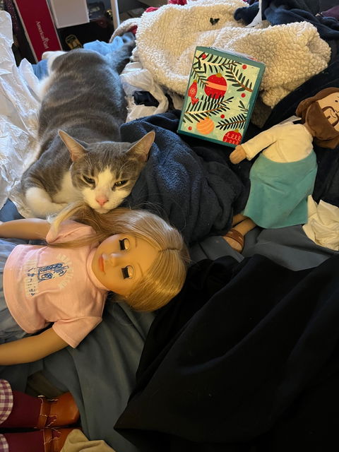 Anne Wilson x Faith Friends Doll