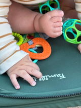 Edis review photo