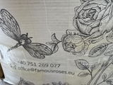 Gabriela A. review photo