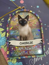 Gabriel S. review photo