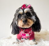 Emma-lee Applin review photo