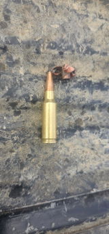 Z.I. review photo