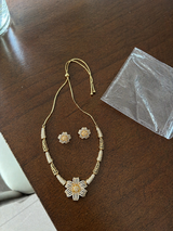 Navya review photo