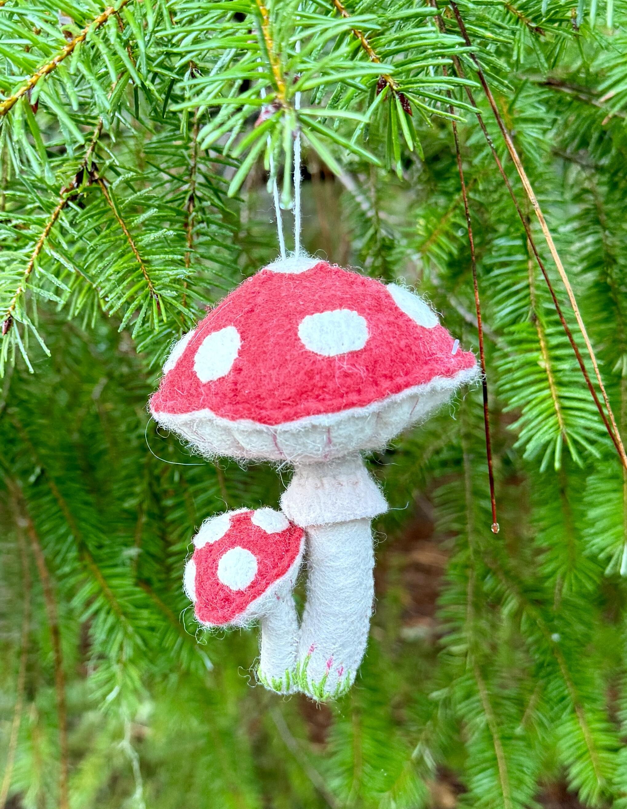 Mikela review photo