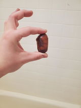 S.R. review photo