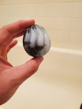 S.R. review photo