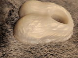 Runt review photo