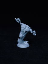Rendarsus review photo