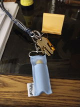 L.V. review photo