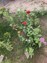 GURUDEV SINGH review photo