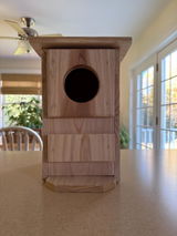Meghan M. review photo