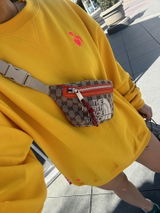 Bee review photo