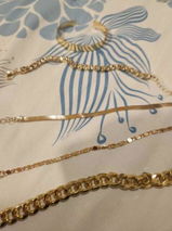 meena.dasgupta review photo