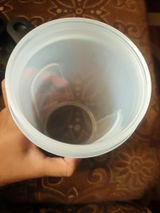 Mujtaba M. review photo