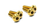 M6 x 1.00 x 10mm Titanium Motor Head Bolt