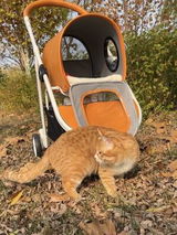 John Smith review photo