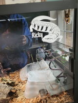 Kait review photo