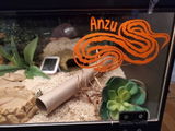 Suzanne T. review photo