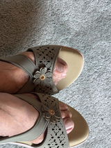 Roma Wani review photo