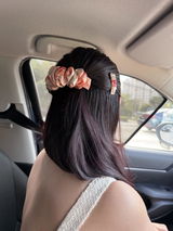Ms Chan review photo