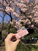 Ms Chan review photo