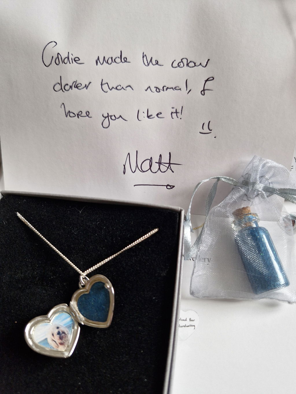 Heart Photo Ashes Locket