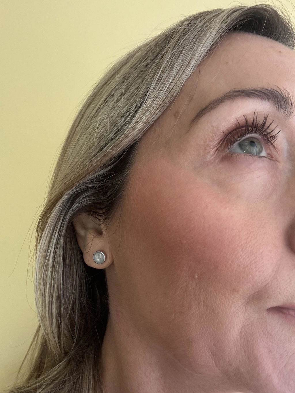 Round Stud Ashes Earrings
