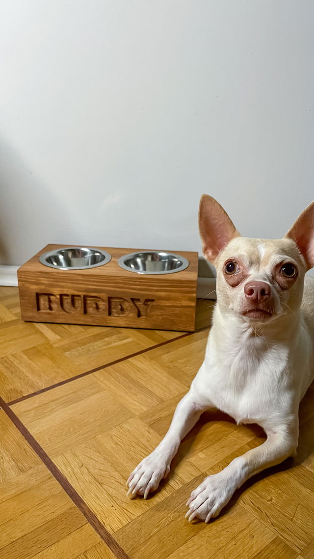 Kundenfoto: Feddofy Futterstation für Buddy