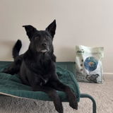 Renae and Nero review photo
