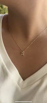 Luna Zodiac Sign Necklace
